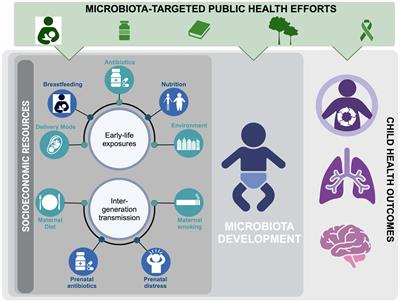 Reduce, reinforce, and replenish: safeguarding the early-life microbiota to reduce intergenerational health disparities